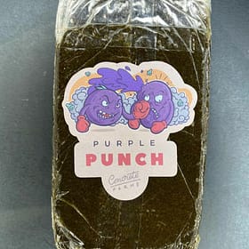 Pupple Punch