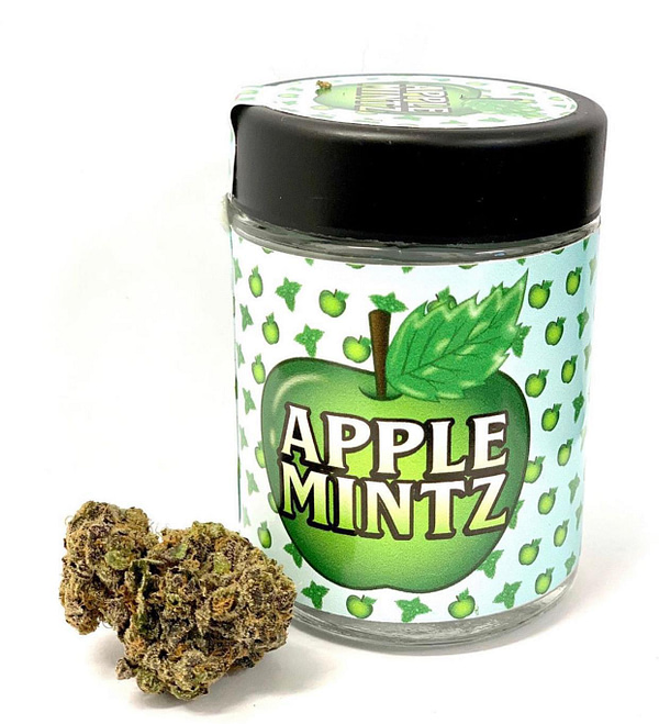 Apple Mintz